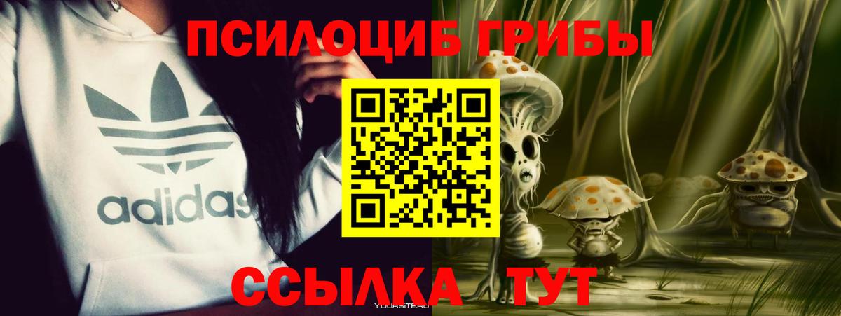 Ульяновск  цена   Вход с VPN  Галлюциногенные грибы ЛСД 
